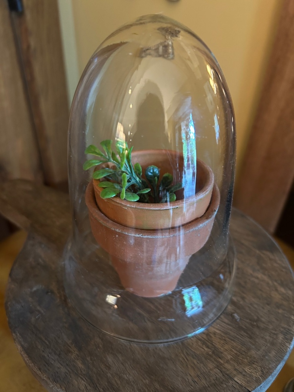 Vintage Terracotta Mini Pots with Glass Cloche